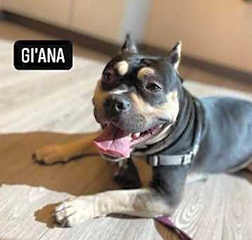 Photo of Gi’ana