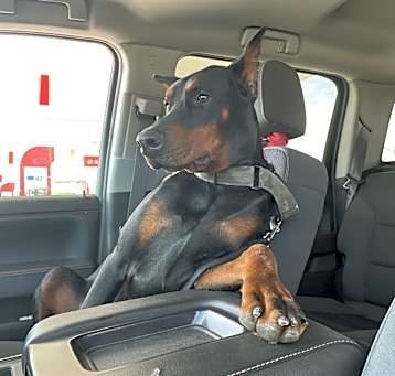 Photo of Zero