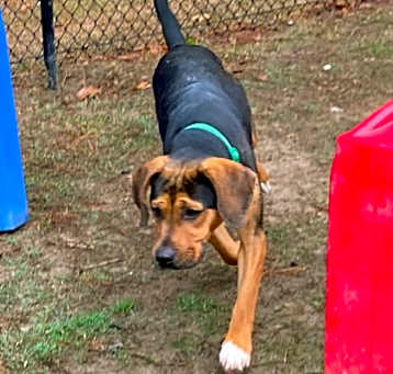 Photo of Bentley