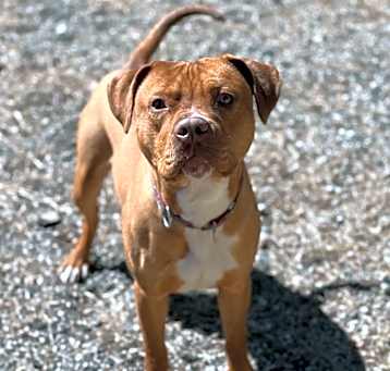 Photo of Kody