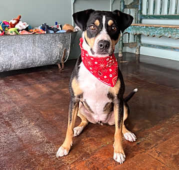 Photo of Luther