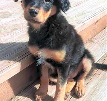 Photo of Itty-Bitty