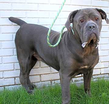 Photo of Bonnie