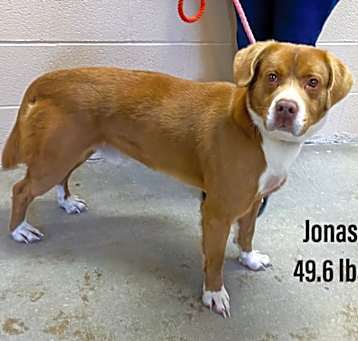 Photo of Jonas