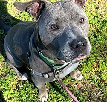 Photo of Duke
