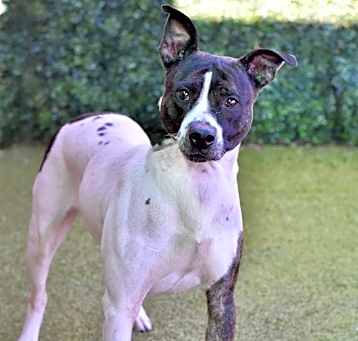 Photo of Penelope