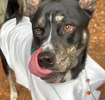 Photo of Athena