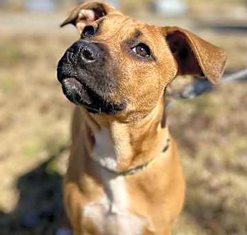 Photo of Gertie