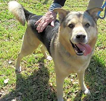 Photo of Gumbo