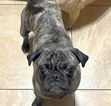 Photo of 2025 - 3003 Maya