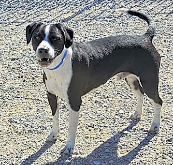 Photo of Ares