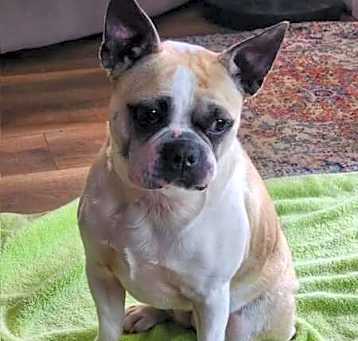 Photo of Mollie