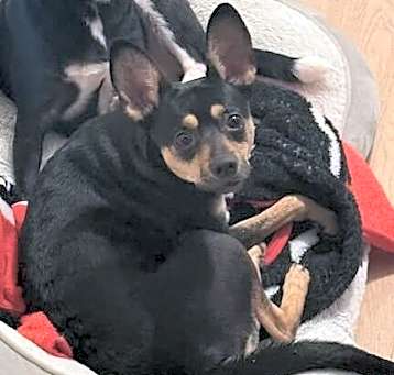 Photo of Maggie