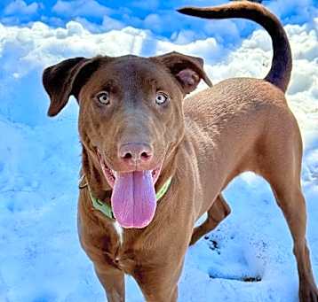 Photo of LUNA