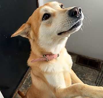 Photo of Roxy