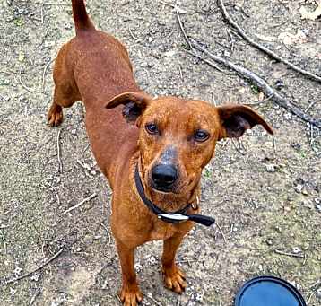 Photo of Petey