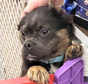 Photo of Kylo