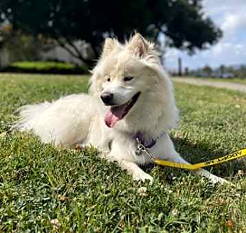 Photo of Natasha