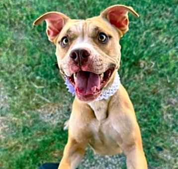 Photo of Starla
