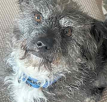 Photo of Mugsy