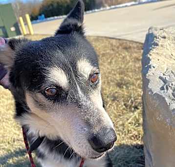 Photo of Maxx