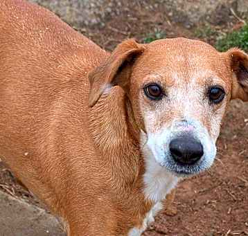 Photo of BETTY/WHITE/URGENT