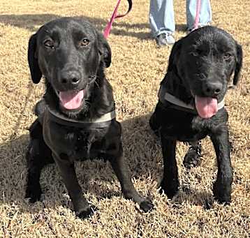 Photo of Liesel & Lila