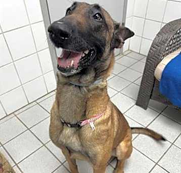 Photo of WAFFLE