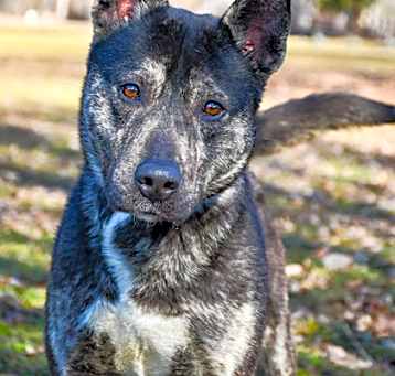 Photo of Salsa