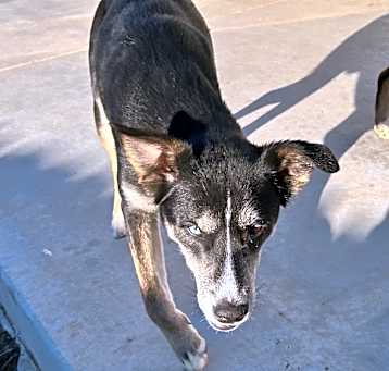 Photo of shadow