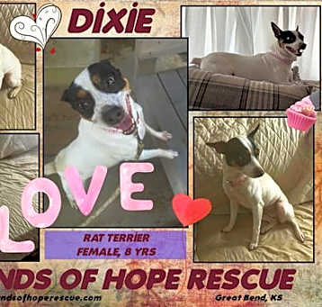 Photo of Dixie