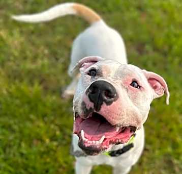 Photo of Speck
