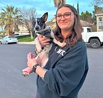 Photo of Polly