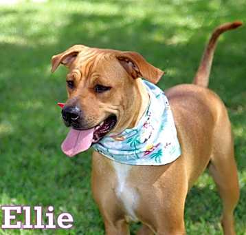Photo of ELLIE