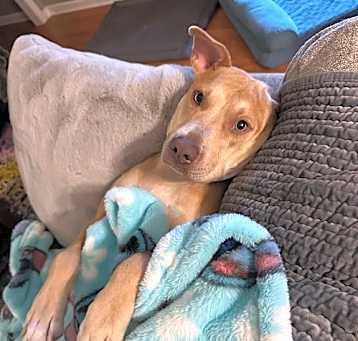 Photo of Phoenix Mom