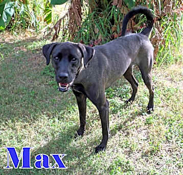 Photo of MAX