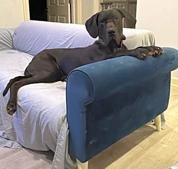 Photo of Atlas