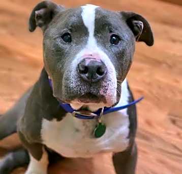 Photo of Mr. Big