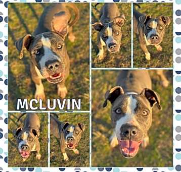 Photo of McLuvin