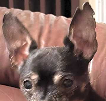 Photo of Theo
