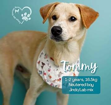 Photo of Tommy