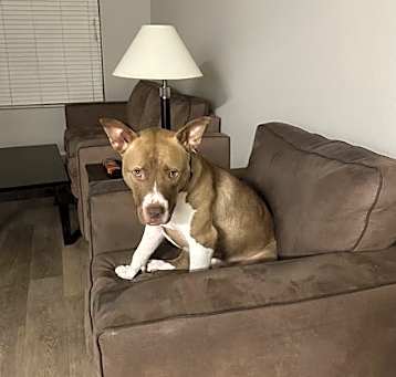 Photo of DIESEL 5