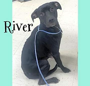 Photo of River