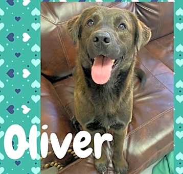 Photo of Oliver
