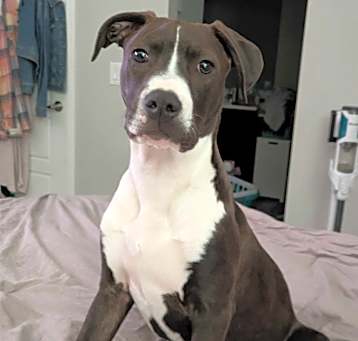 Photo of Leroy