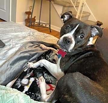Photo of Susie