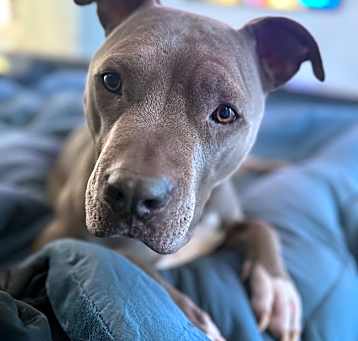 Photo of Draper