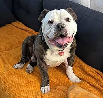 Photo of Bruce