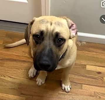 Photo of Gus