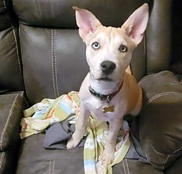 Photo of Bindi Roo